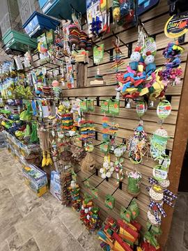 birds toys 